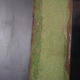 Illustration for article titled Highway diorama, grass time.